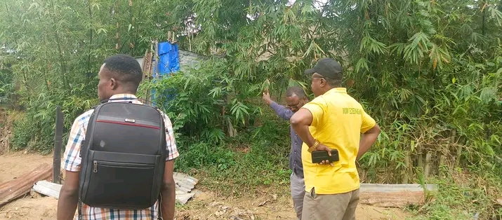 Le site est en construction sommes L&rsquo;ONG APEFFIVU